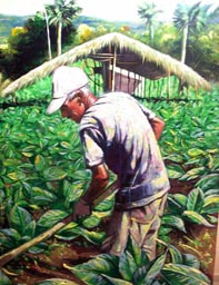 William Frielson, «Viejo limpiando el tabaco», óleo sobre tela, 2009.