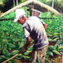 William Frielson, «Viejo limpiando el tabaco», óleo sobre tela, 2009.