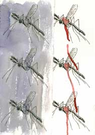 Alba Pelufo, «Empezó la batalla de los mosquitos», acuarela sobre papel, 2009.