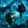 Elkin Marulanda Arango, «Danzando bajo el agua», arte digita.