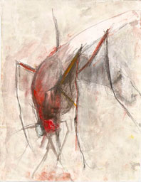 Marta Herguedas Arribas, «Mosquito», técnica mixta sobre papel, 2008.
