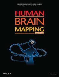 Human brain mapping