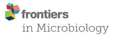 frontiers_microbiology.png
