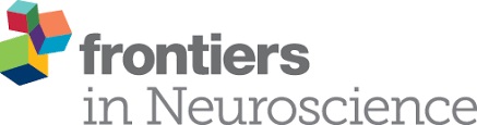 frontiers_neuroscience.jpg