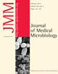 Journal of Medical Microbiology