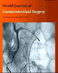 http://www.siicsalud.com/tapasrevistas/world_journal_gastroint_surgery.jpg                          